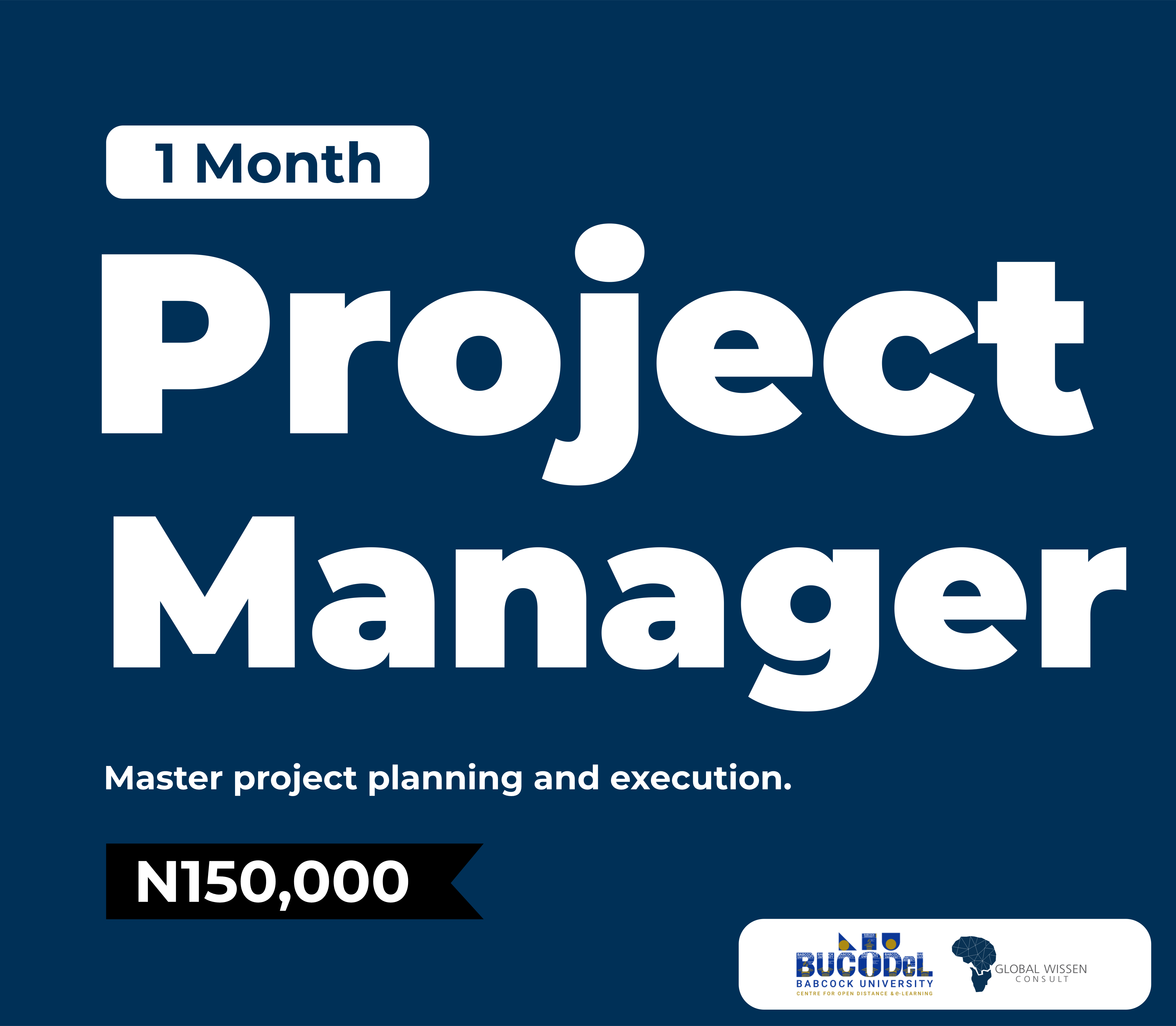 Project Manager