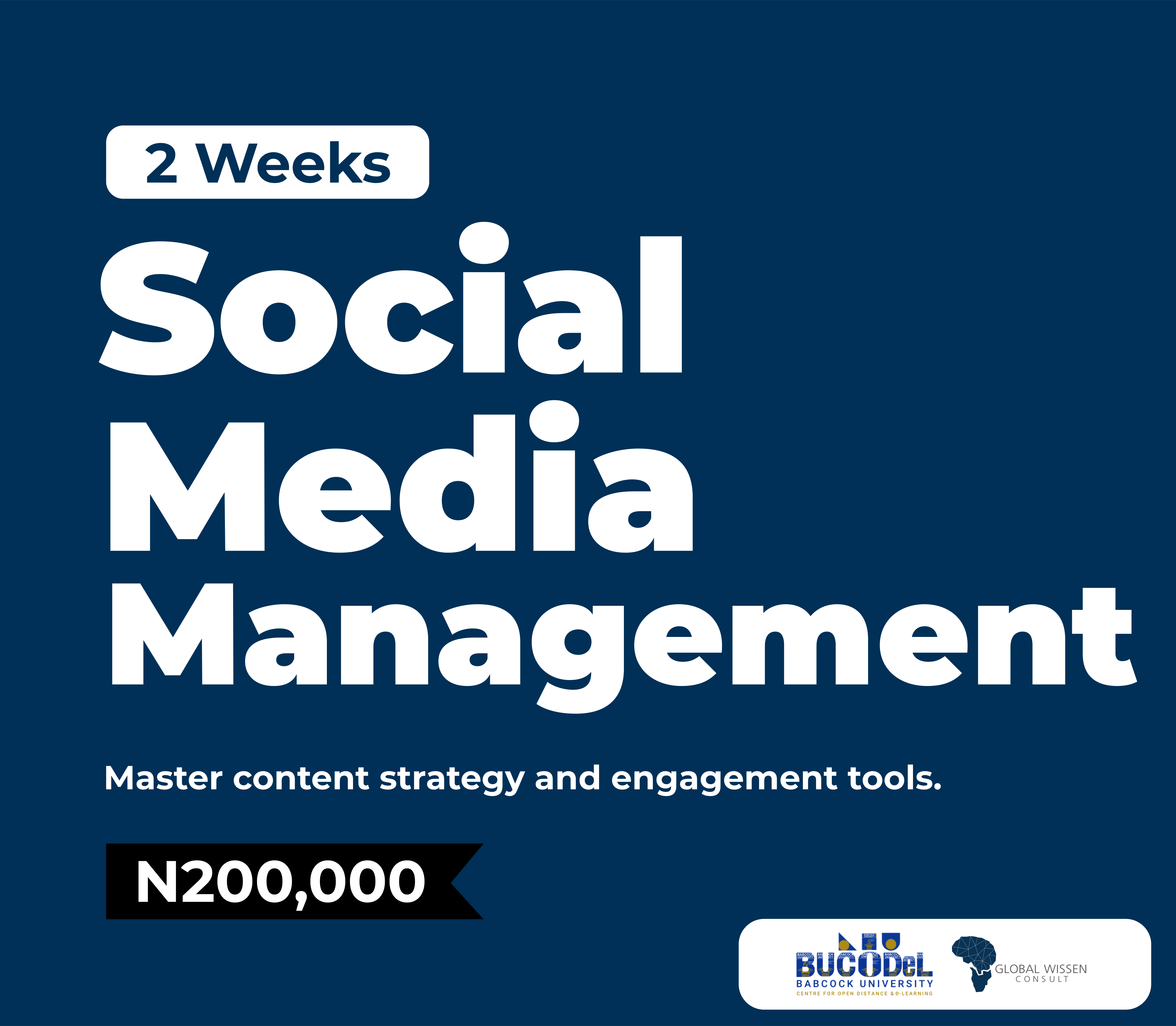 Social Media Management